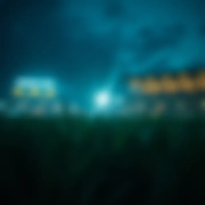 Magnificent 블랙잭 기본 전략 차트 분석 Magnificent 블랙잭 기본 전략 차트 분석