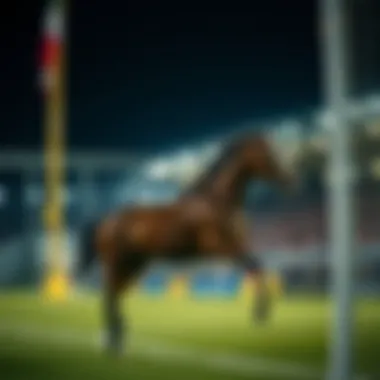 Magnificent 축구 친선경기 중계의 모든 것 Magnificent 축구 친선경기 중계의 모든 것