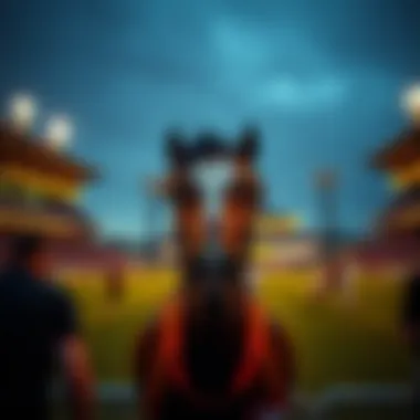 Magnificent 노르셸란 축구의 심층 분석 Magnificent 노르셸란 축구의 심층 분석