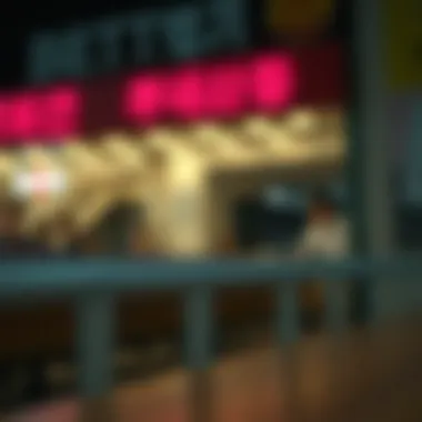 빙고 프��로모션의 다양한 면모 Summary