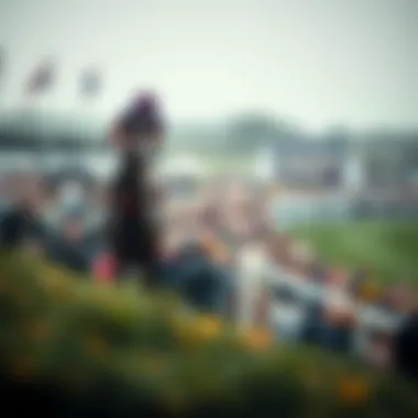 Historical overview of Cheltenham Festival