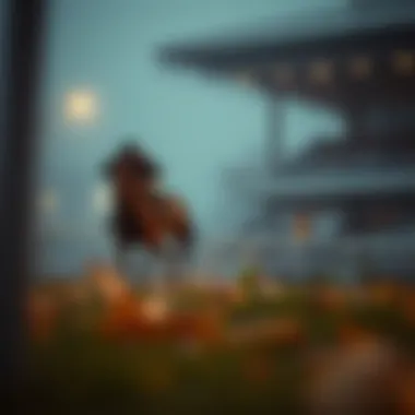 Notable 카지노 게임의 세계: 한국 베팅 현황과 이해