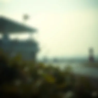 카지노 게임의 세계: 한국 베팅 현황과 이해 Summary