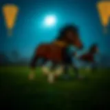 온라인 축구 베팅: 기본부터 전략까지 Introduction