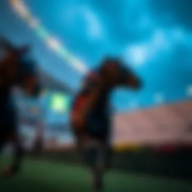 Future outlook of the betting market with Racing Club