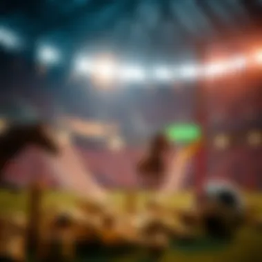 A risk management framework relevant to betting strategies